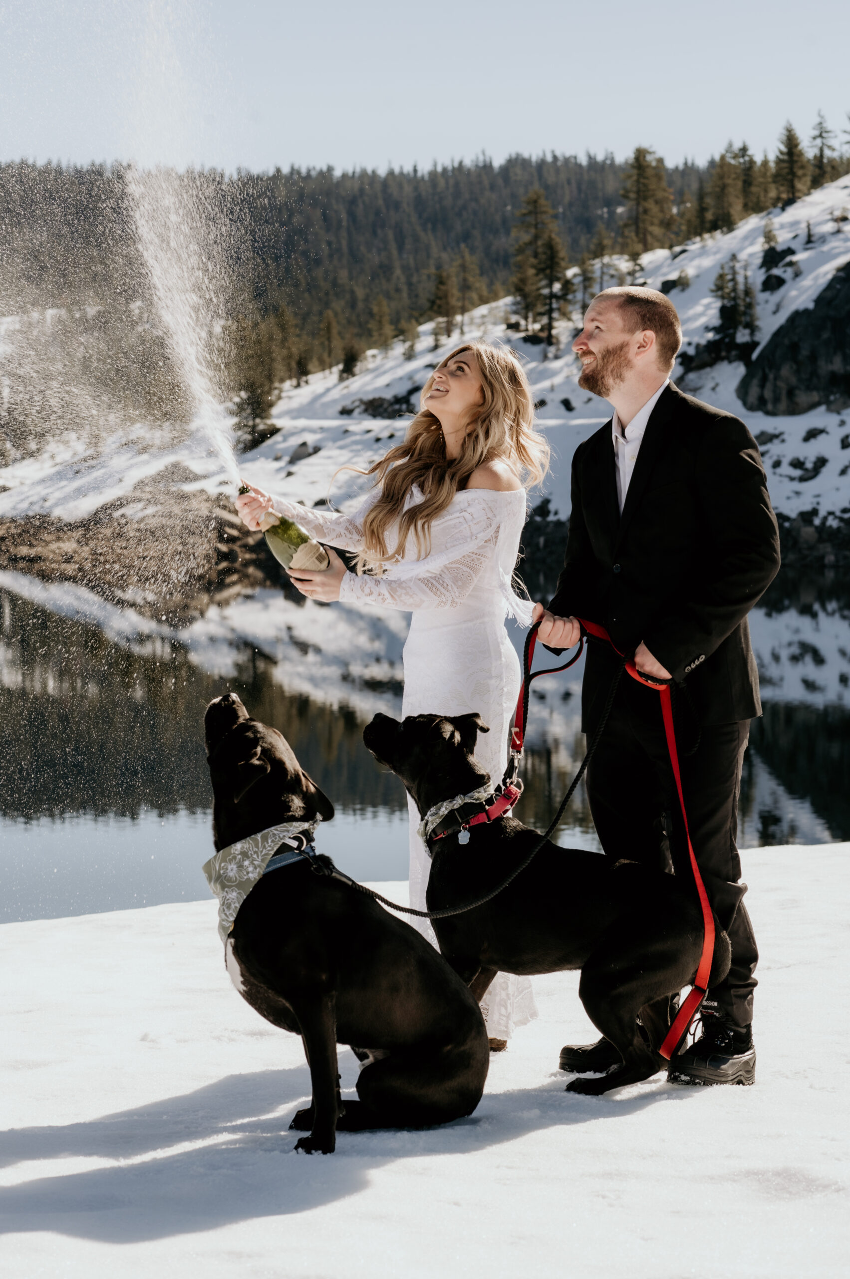 Elopement photographer captures Sierra Nevada winter wedding