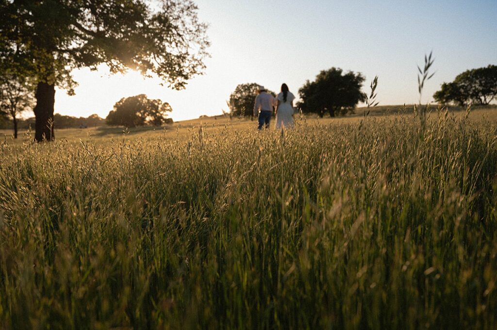 An image taken at a distance shows a couple walking hand-in-hand through a field at their home during playful farm engagement photos in california