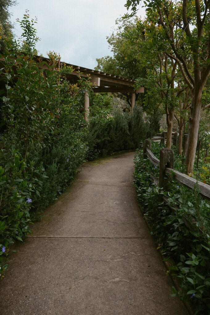 The paved path at Hanford Garden is photographed 
