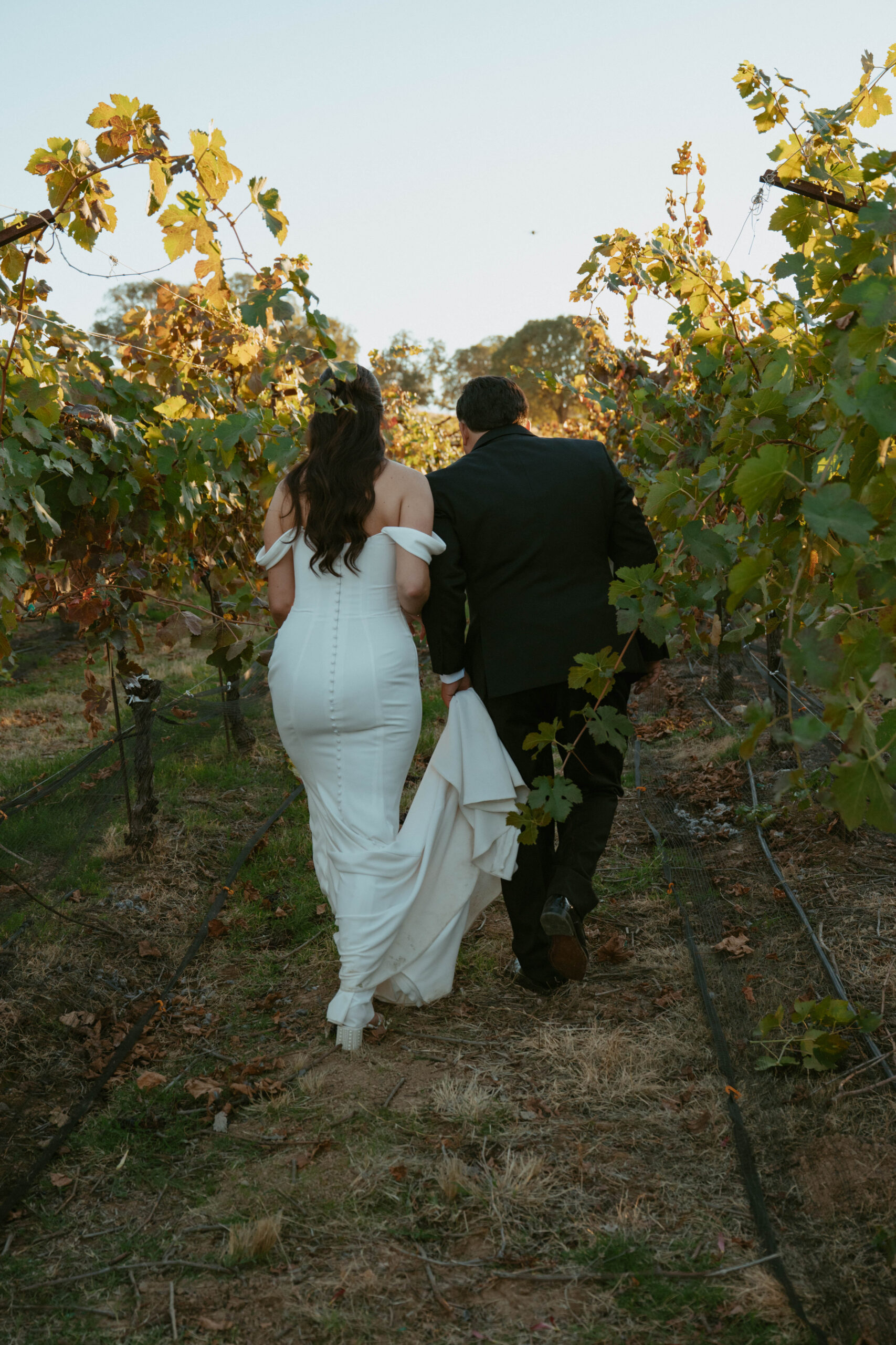 Bride and Groom wander through the vineyards of Cazadd Cellars