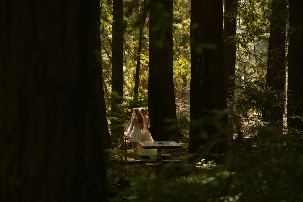 Couple walking together through towering redwoods during their proposal photography session