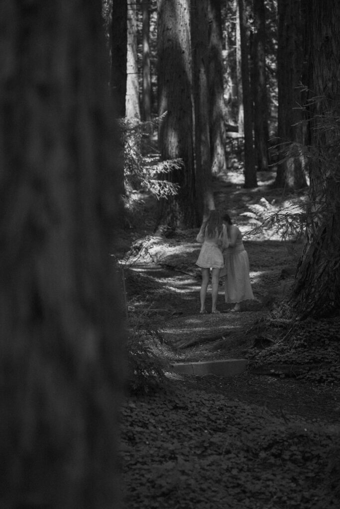 Moody black and white redwood forest path photographed during a proposal session