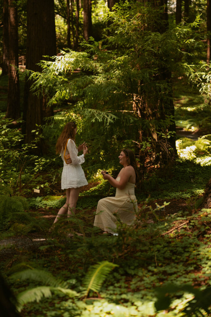 Proposal moment captured among sunlit ferns by an Oregon proposal photographer