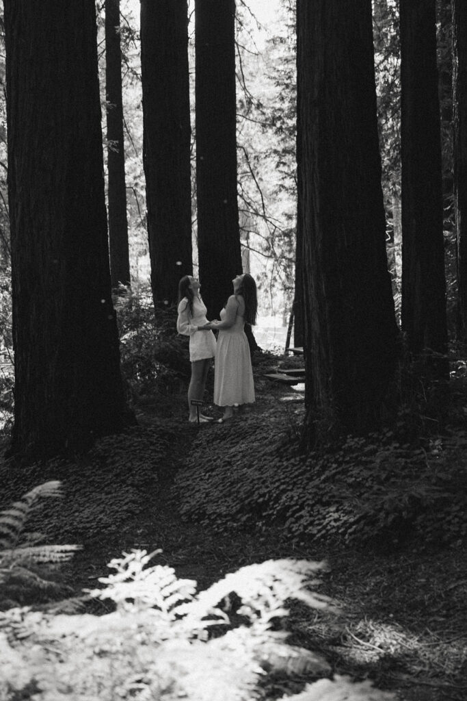 Couple walking hand in hand down a redwood forest path after their proposal