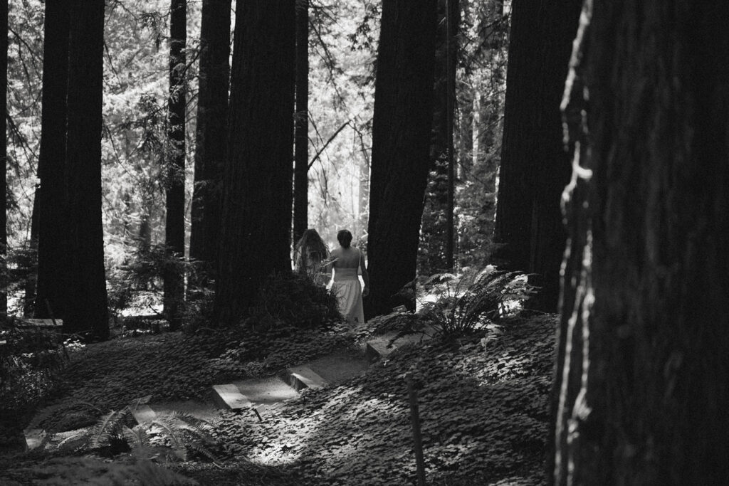 Black and white photo of a couple walking through sunlit redwoods, captured by an Oregon proposal photographer